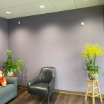 Office photo with a grey chair and two plants