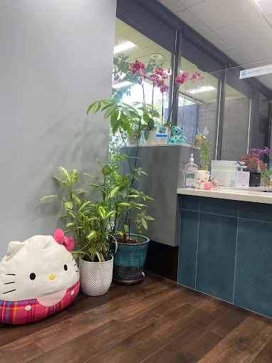 front desk photo with squishmellows and plants
