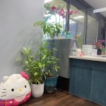 front desk photo with squishmellows and plants