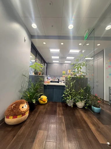 front office photo with plants and squishmellows to greet patients