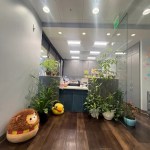 front office photo with plants and squishmellows to greet patients