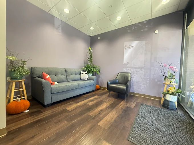 Front office lobby. Grey couch with animal plushies and plants throughout the room.